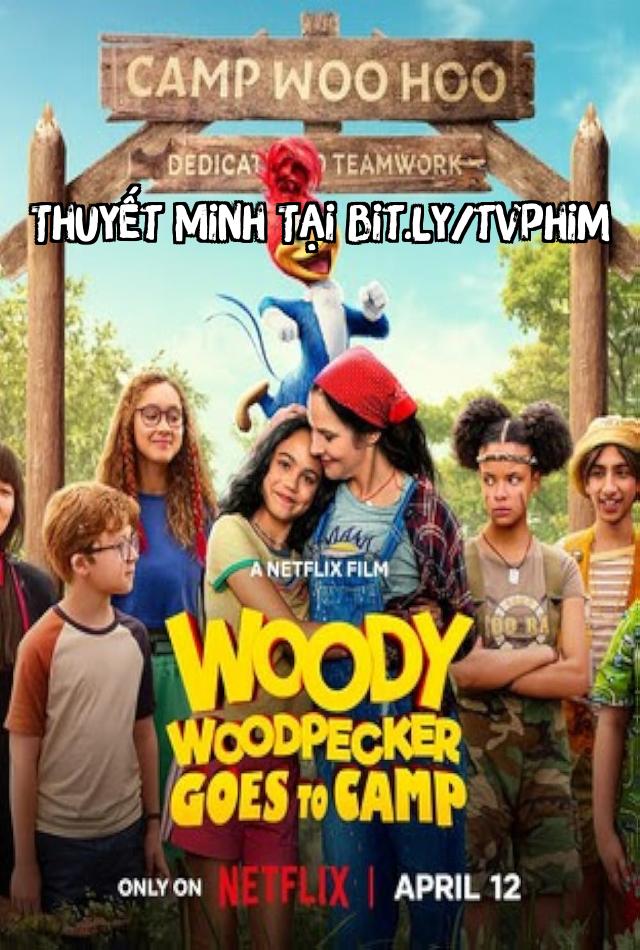 Chim Gõ Kiến Woody Đi Trại Hè